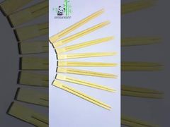 چوب خوردن بامبو یکبار مصرف چوب خوردن دوقلو