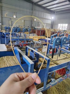 ویژگی منطقه ای چوب بامبو بوستان هندی برای تولید آگارباتی مستقیم از تولید کنندگان